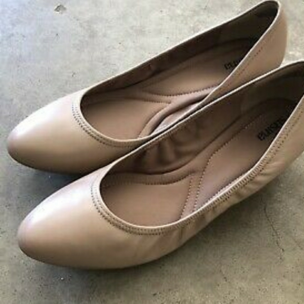 Wedge pump, Susina